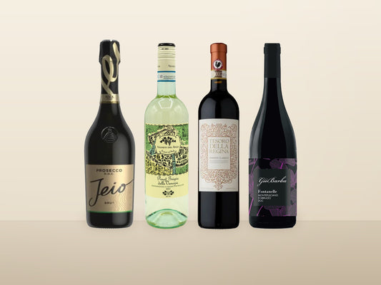 The four bottles in the Italy bundle: Jeio Prosecco, Vigneti del Sole Pinot Grigio, Tesoro Della Regina Chianti Classico and Gio Barba Fontanelle